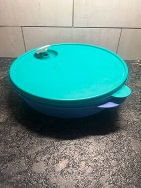 Tupperware Crystal Wave purple & green Steamer divided bowl microwave. 10-11”.